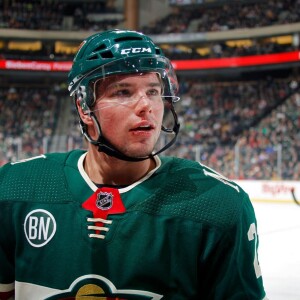 FIALA 1-0 WILD