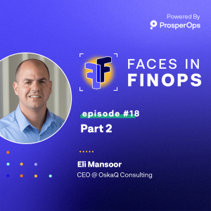 Ep#18 Faces In FinOps with Eli Mansoor - Part 2