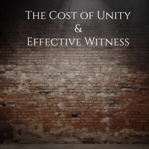 The Cost of Unity & Effective Witness