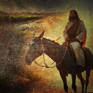 Palm Sunday | Jesus the Messiah: Rightful Heir to the Throne of David