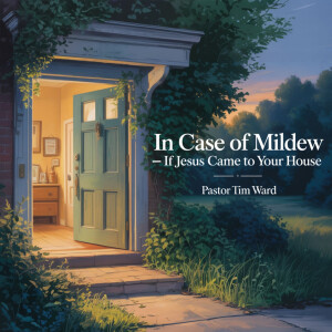 In Case of Mildew — If Jesus Came to Your House