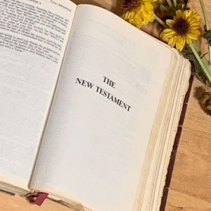 Roadmap to the Bible - New Testament Overview