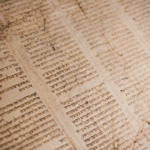Roadmap to the Bible - Establishing God's Government