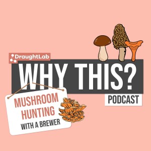 Mushroom Hunting with a Brewer