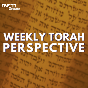 5773 Weekly Torah Perspective: Vayeitzei with Rabbi David Silber