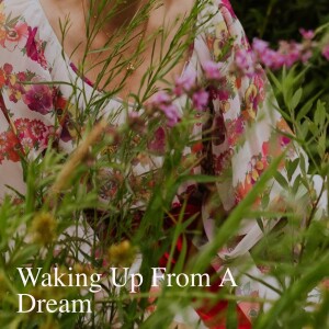 Waking Up From A Dream