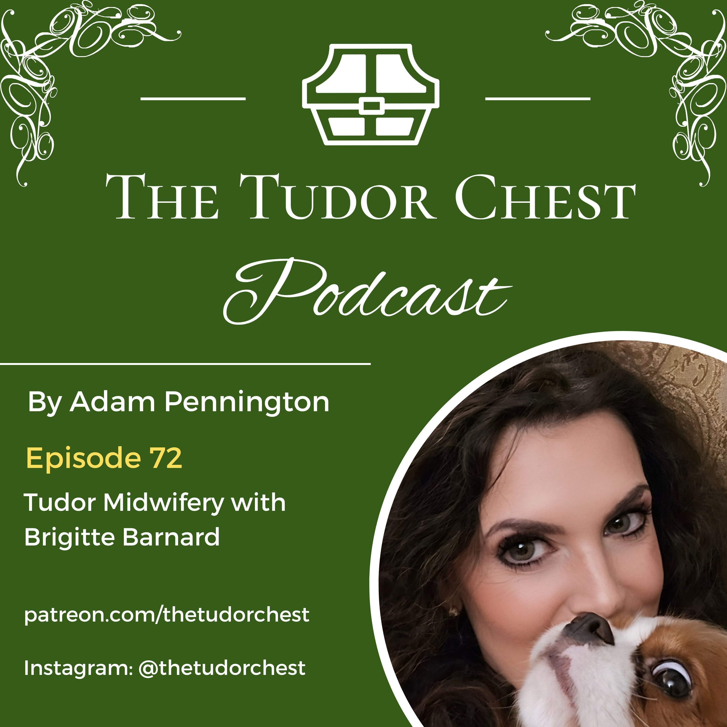 The Tudor Chest Podcast