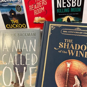 Books in Translation Recommendations