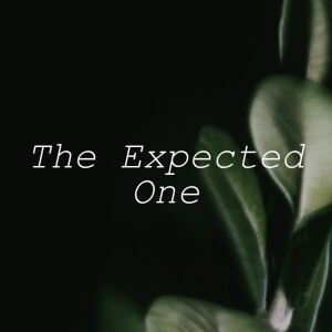 The Expected One | The Suffering Servant