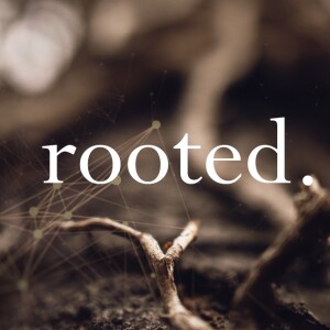 Rooted | Counting the Cost