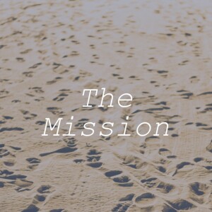 The Mission | Wounded Unity