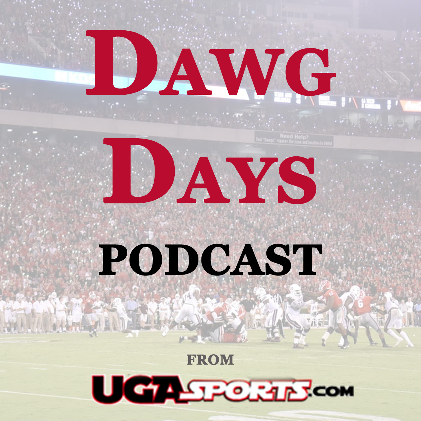 Dawg Days: Michael Bennett