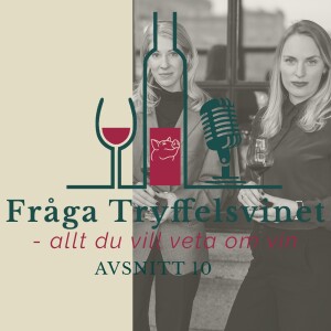 Avsnitt 10: Varför försvann gamay från Bourgogne och varför är handelssystemet i Bordeaux så besvärligt?