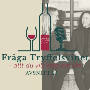 Avsnitt 25: Vinsvindlare och bedragare