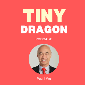 What Makes a Startup Investable? with Professor Pochi Wu