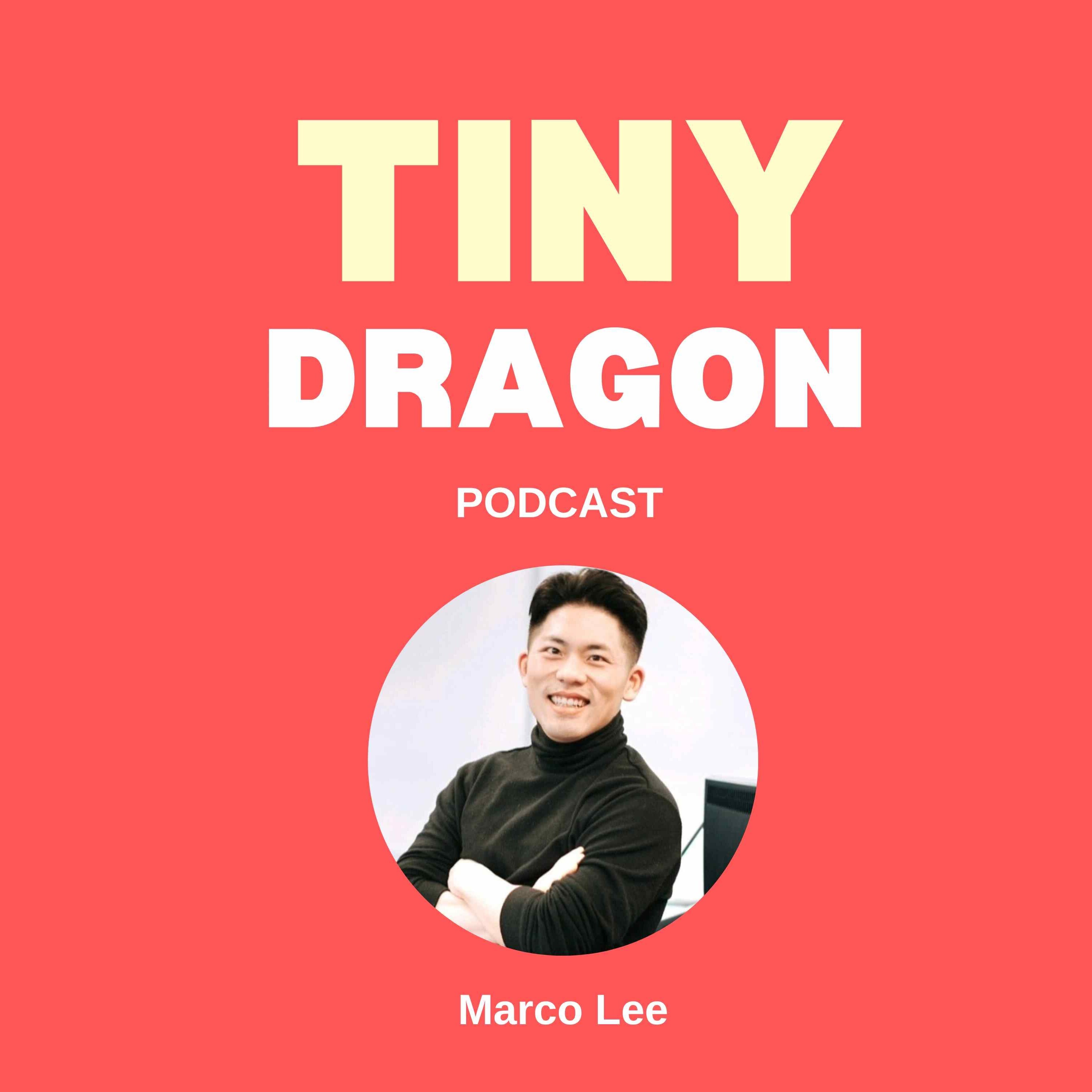 Tiny Dragon Podcast
