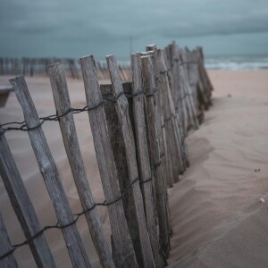 The Sand Fence