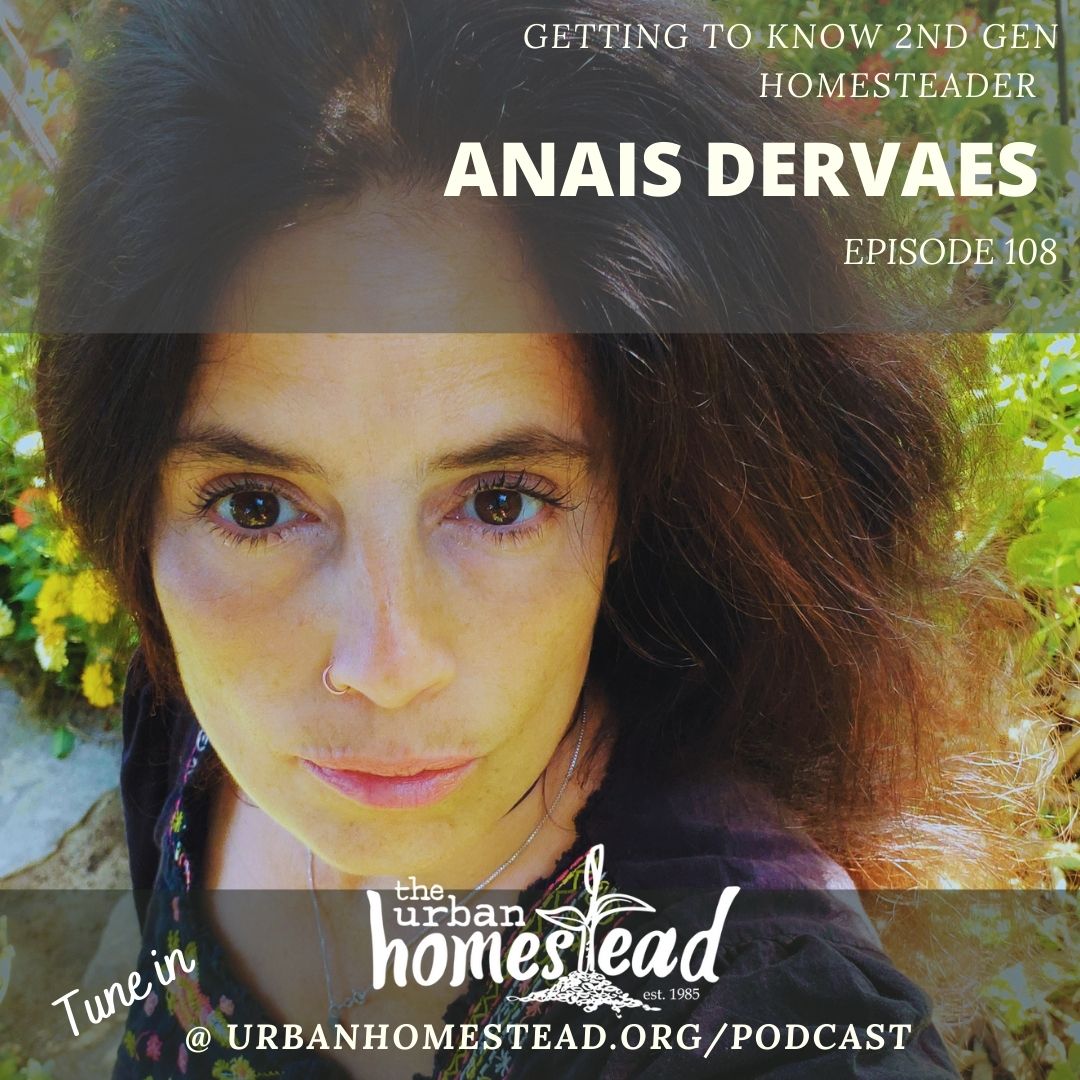 Urban Homestead Radio Episode 108: Getting to Know Anais Dervaes (7/22/21)