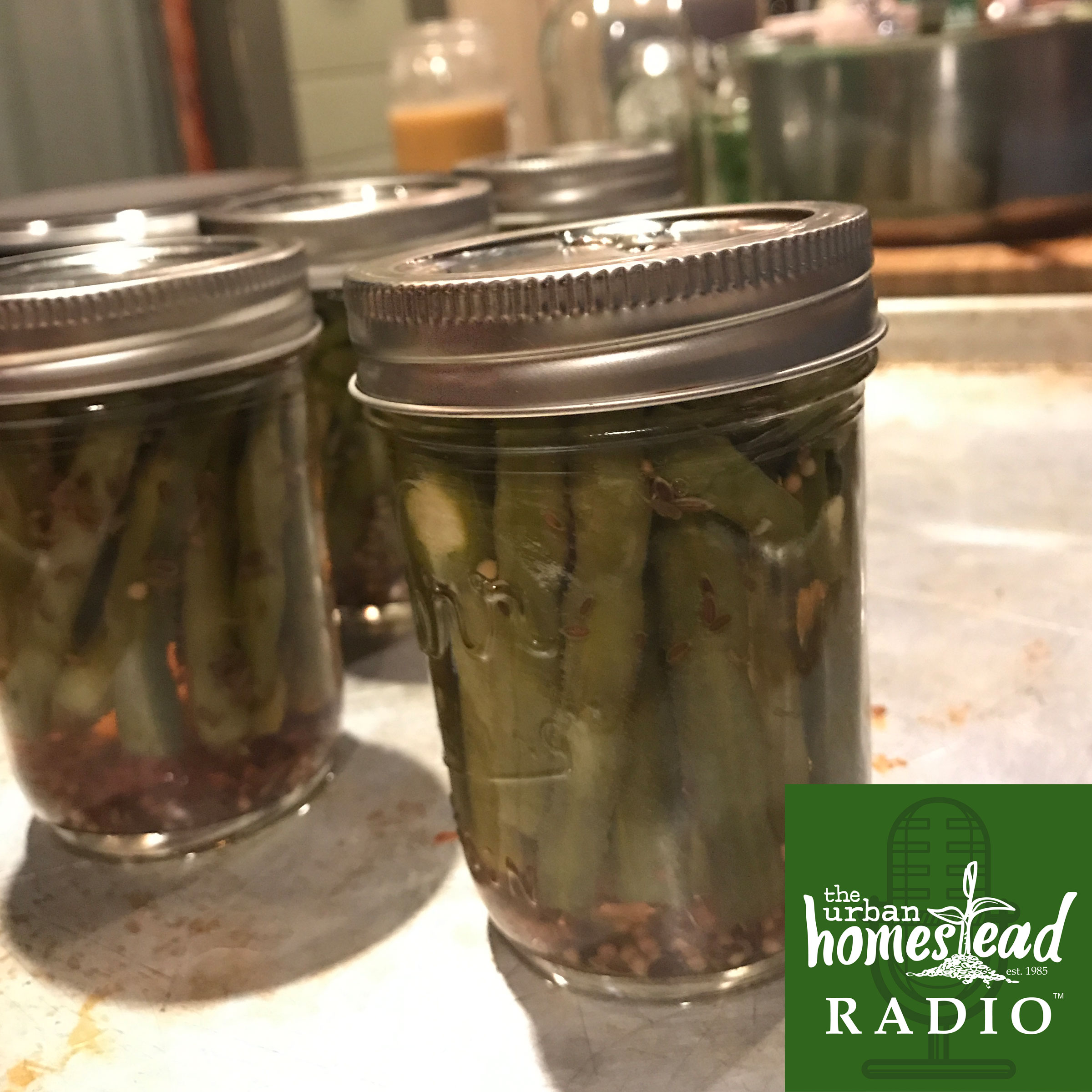 Urban Homestead Radio Special Episode: Basic Canning Workshop *Patron Only*