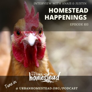 Urban Homestead Radio Episode 103: Winter Homestead Happenings (12/08/20)