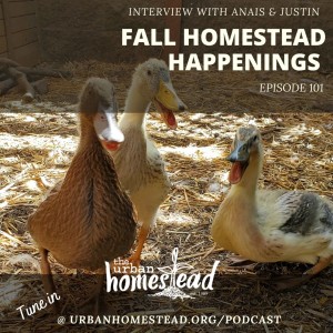 Urban Homestead Radio Episode 101: Homestead Happenings (11/10/20)