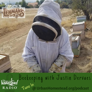 Urban Homestead Radio Episode 78: Urban Beekeeping with Justin Dervaes