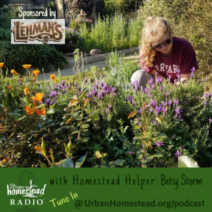 Urban Homestead Radio Episode 76: "Conversations with Our Homestead Helpers" - Betsy Storm