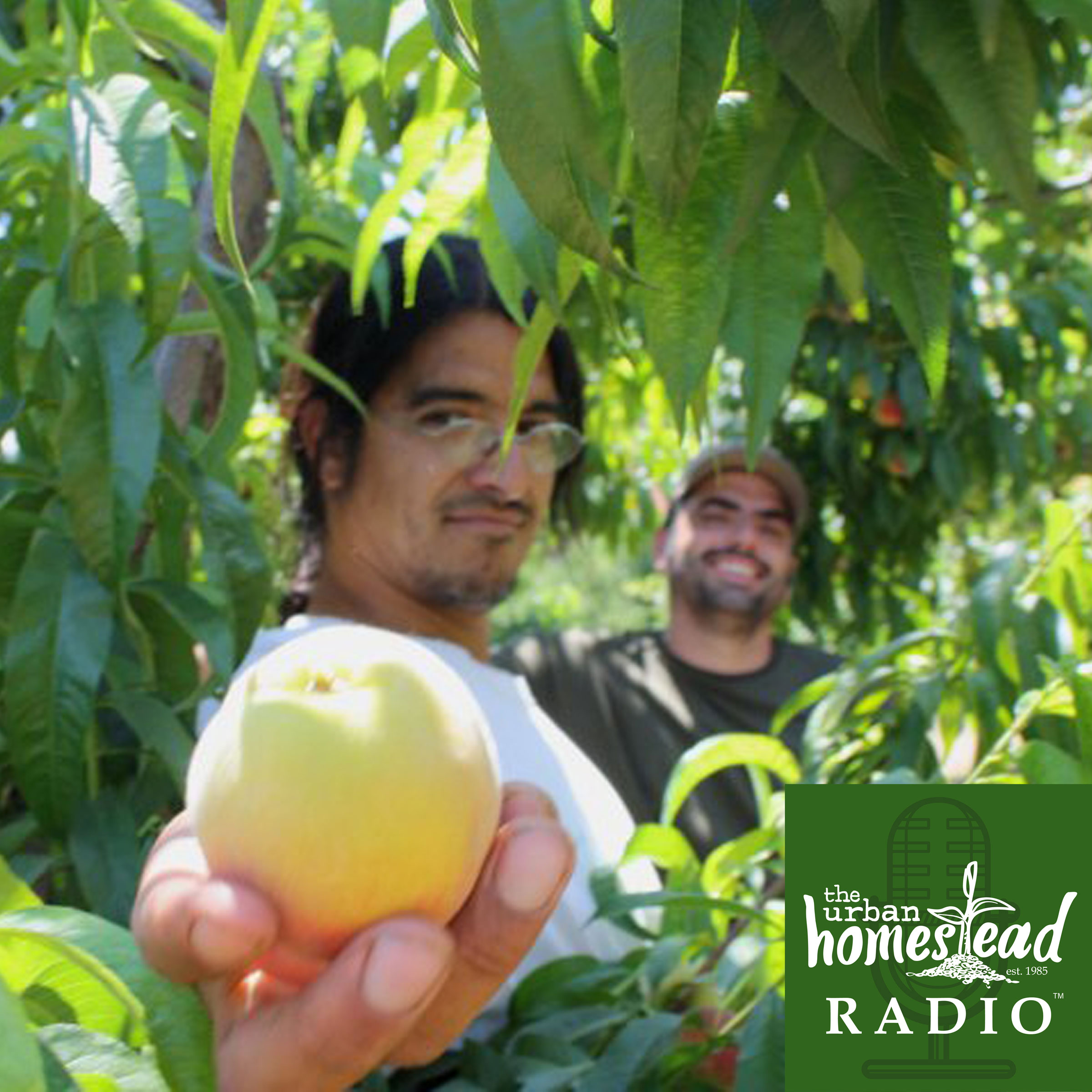 Urban Homestead Radio Episode 27: Sergio Gutierrez Interview