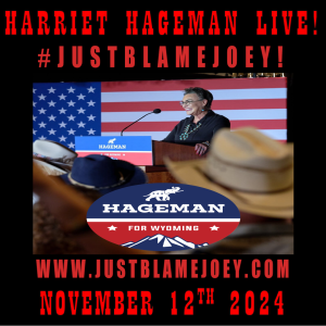 S:1 E:361 - JUST BLAME JOEY LIVE #92 - A CONVERSATION WITH OUR CONGRESSWOMAN - NOV 12TH 2024