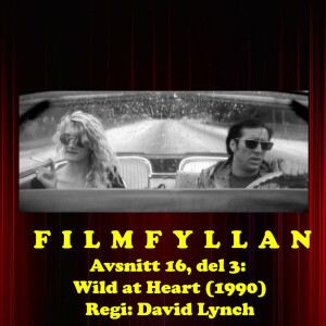 Avsnitt 16, del 3: Wild at Heart (1990)