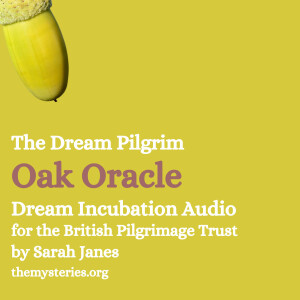 Dream Pilgrim Oak Oracle