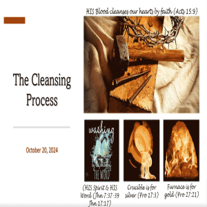 The Cleansinng Process