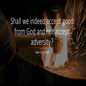 Shall we indeed accept good from God and not accept adversity?