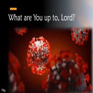 What are you Up to, Lord?