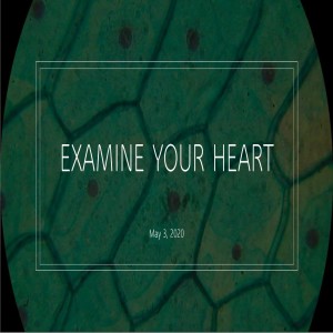 05-03-2020_Examine your heart