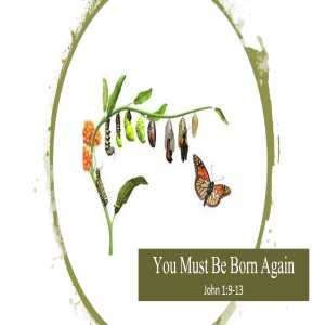 You must be born again