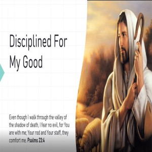 Disciplined for my Good