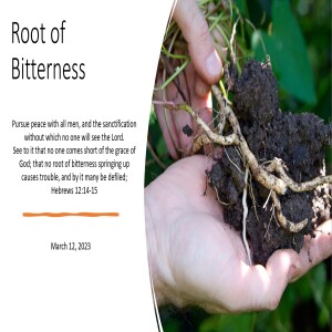 Root of bitterness