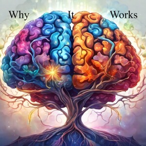 Why It Works with Ethan Wolf & Niv Moussan