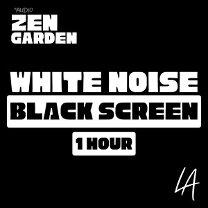 Bonus: White Noise Black Screen: 1 Hour of White Noise for Sleeping, Studying, and Relaxing
