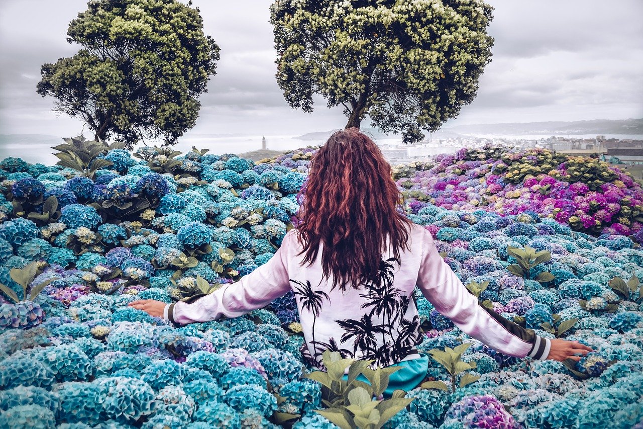 Ayahuasca Talks