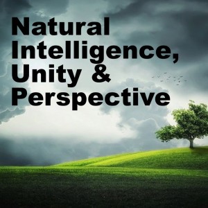 Ayahuasca Integration Discussion with Vyolet Wylde about Natural Intelligence, Unity & Perspective