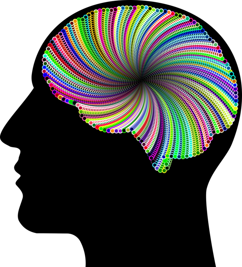 Ayahuasca Talks