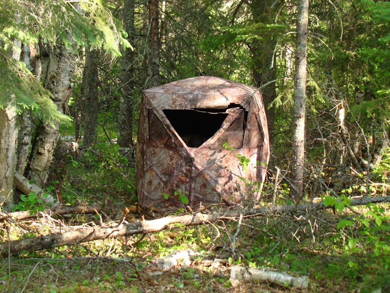 5 Tips on How to Build a Deer Hunting Blind