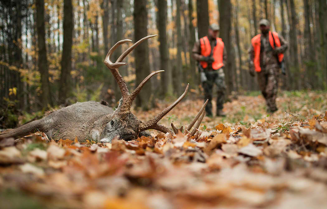 How to Conceal Yourself Better When Deer Hunting