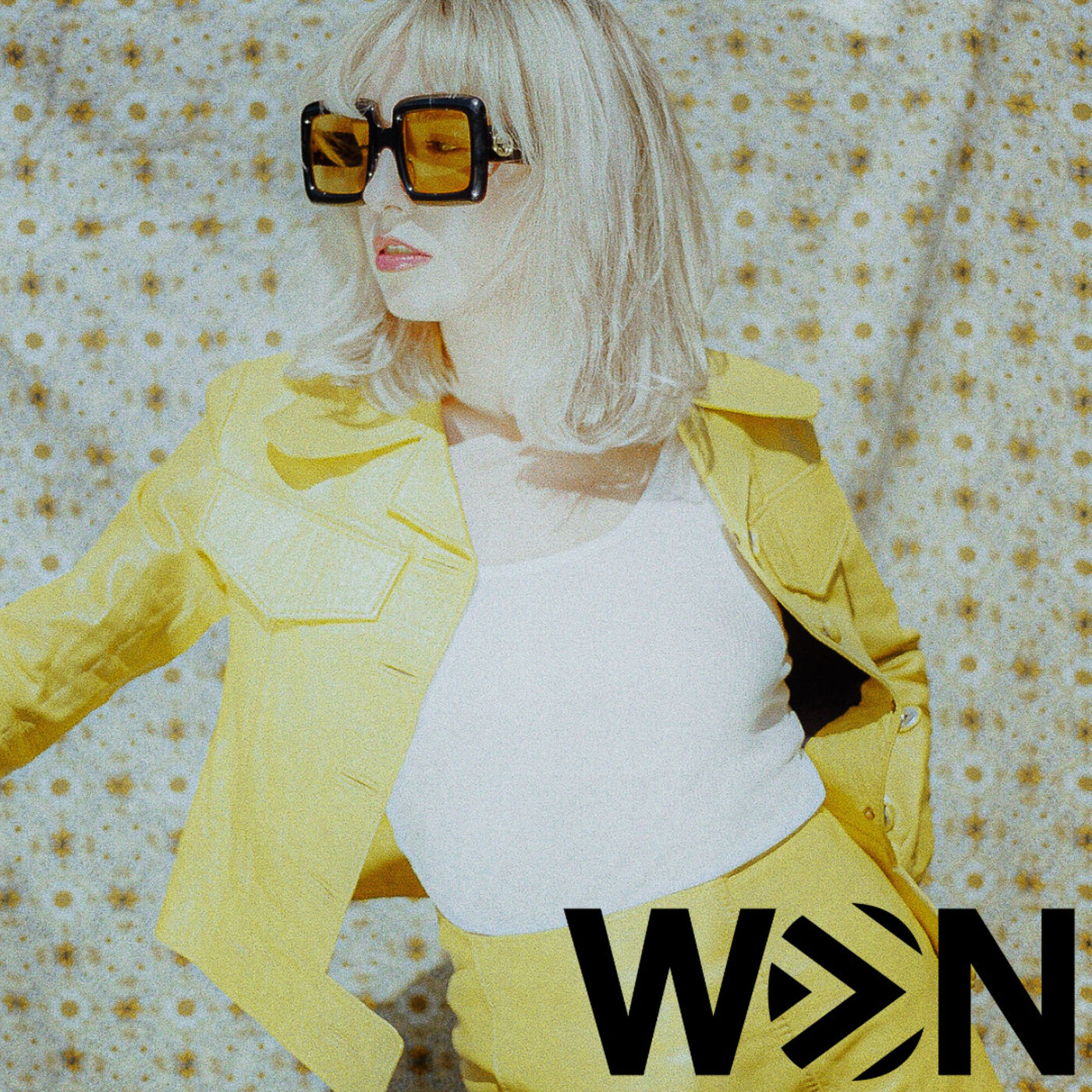 The WON Podcast