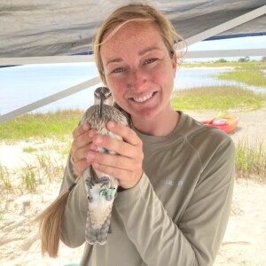 Discovering the Shorebirds and Seabirds of Coastal Georgia