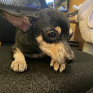 “WET NOSE WEDNESDAY” 12/20/23