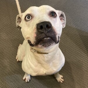 “WET NOSE WEDNESDAY” 1/10/24
