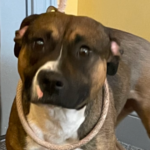 'WET NOSE WEDNESDAY' 4/3/24